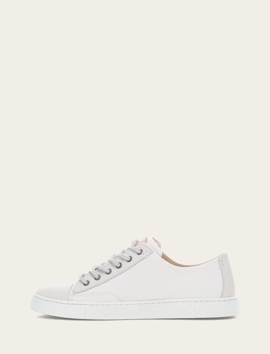 Women's Ivory Ivy Canvas Low Lace Sneakers Frye