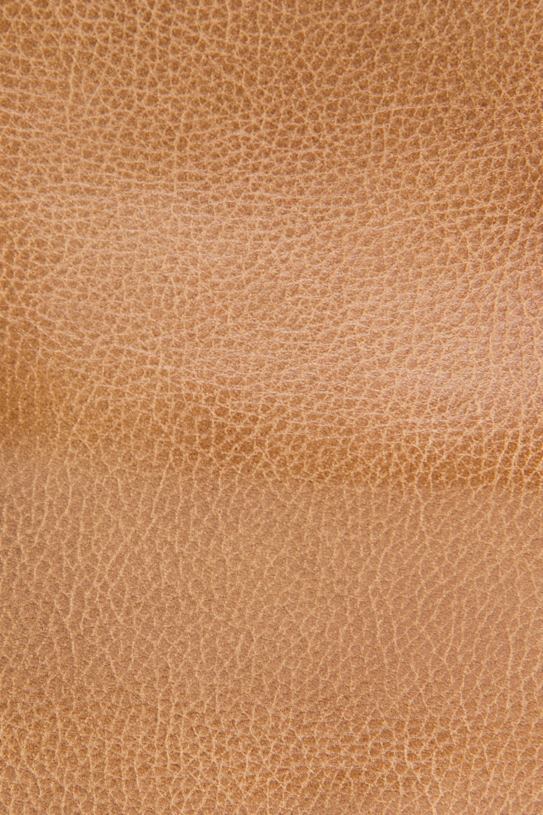 Nora Knotted Hobo in Beige Frye USA
