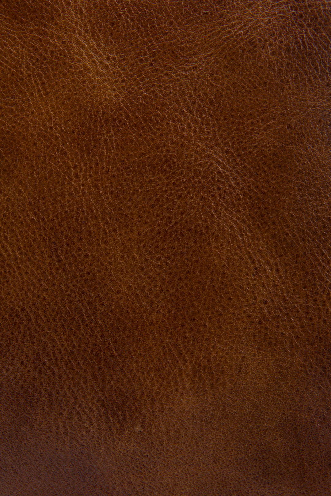 Melissa Cognac Zip Crossbody Frye Near me