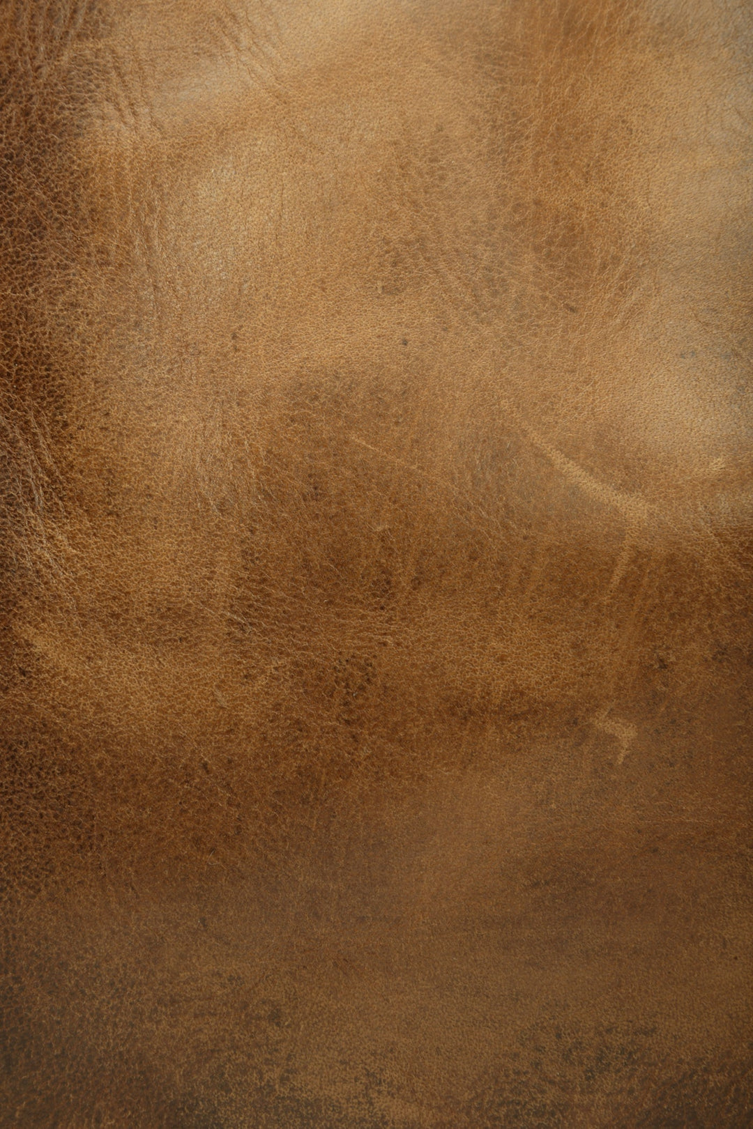Melissa Cognac Tote Frye Online