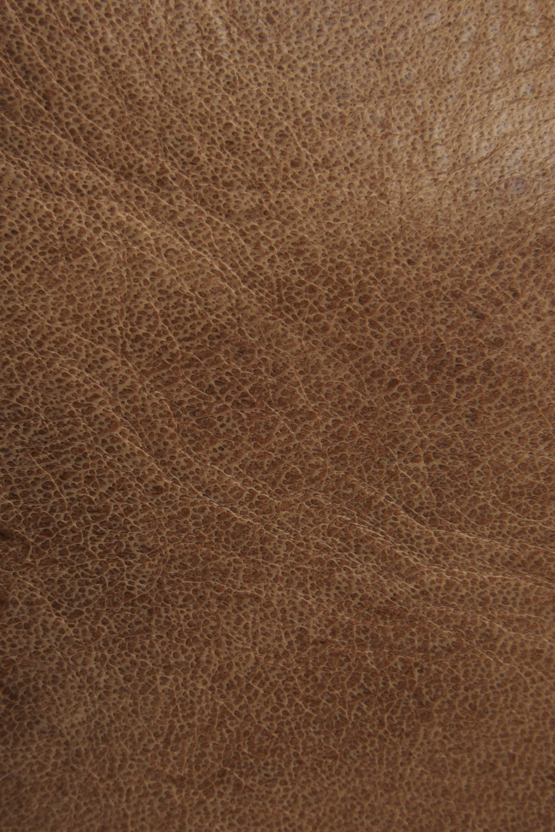 Melissa Beige Tote Frye Discount