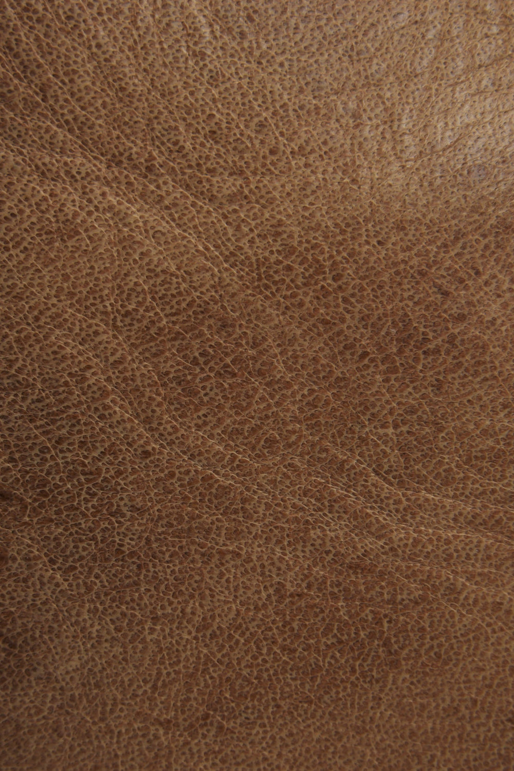 Melissa Beige Tote Frye Discount