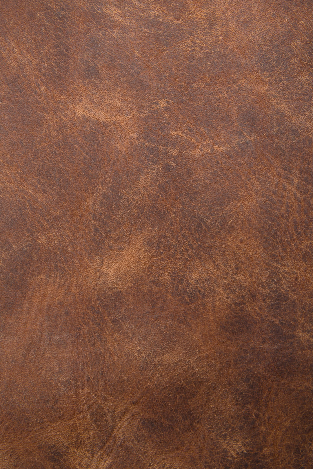 Melissa Cognac Hobo Frye Online