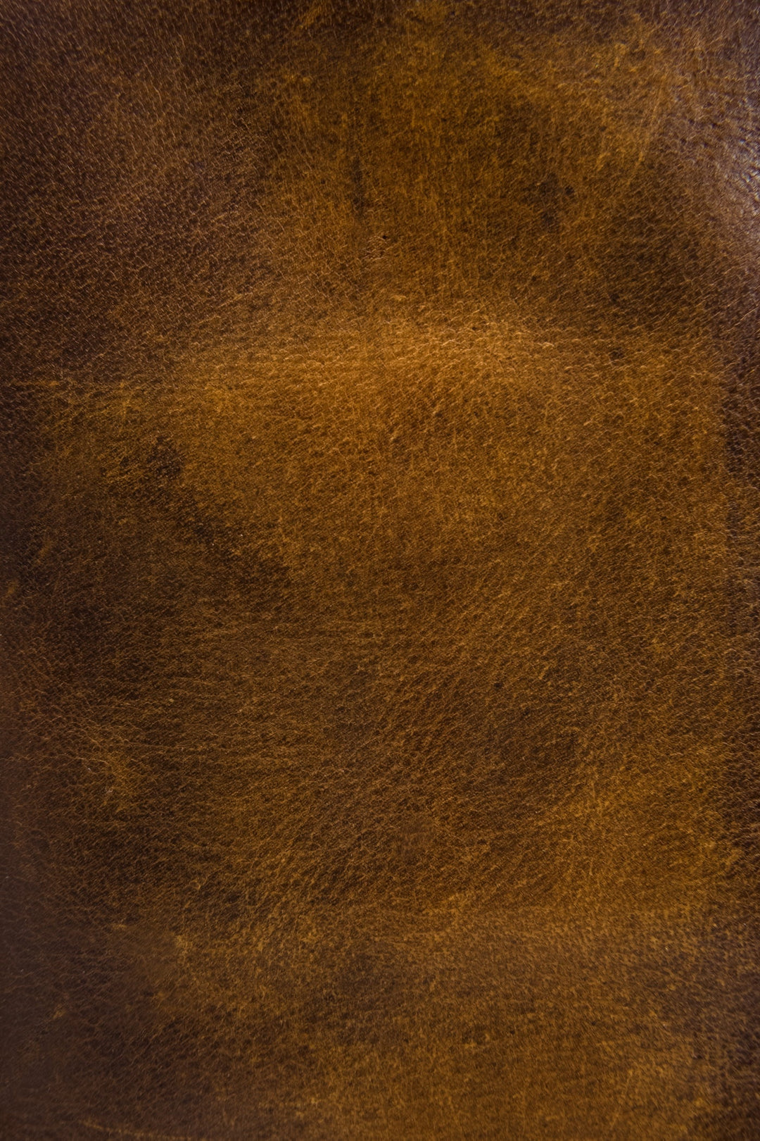 Melissa Dark Brown Wristlet Frye Near me