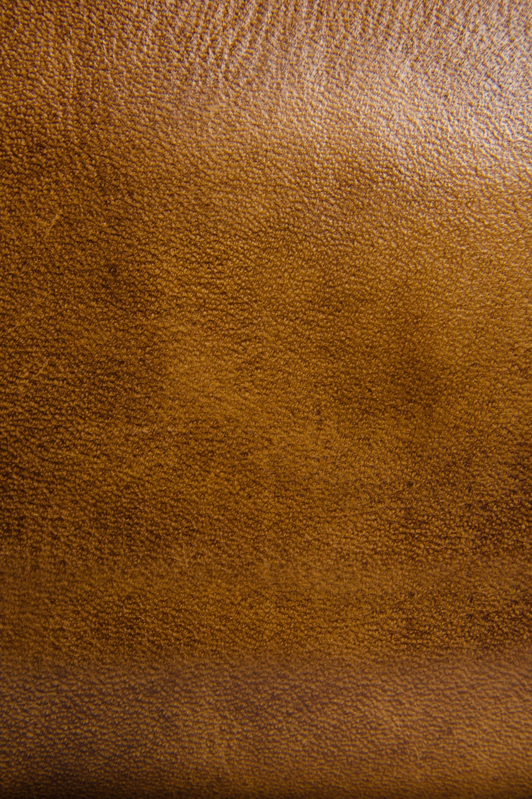 Melissa Beige Zip Wallet Frye Online
