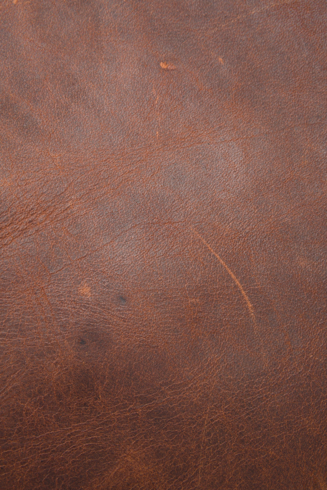 Logan Cognac Backpack Frye Sale