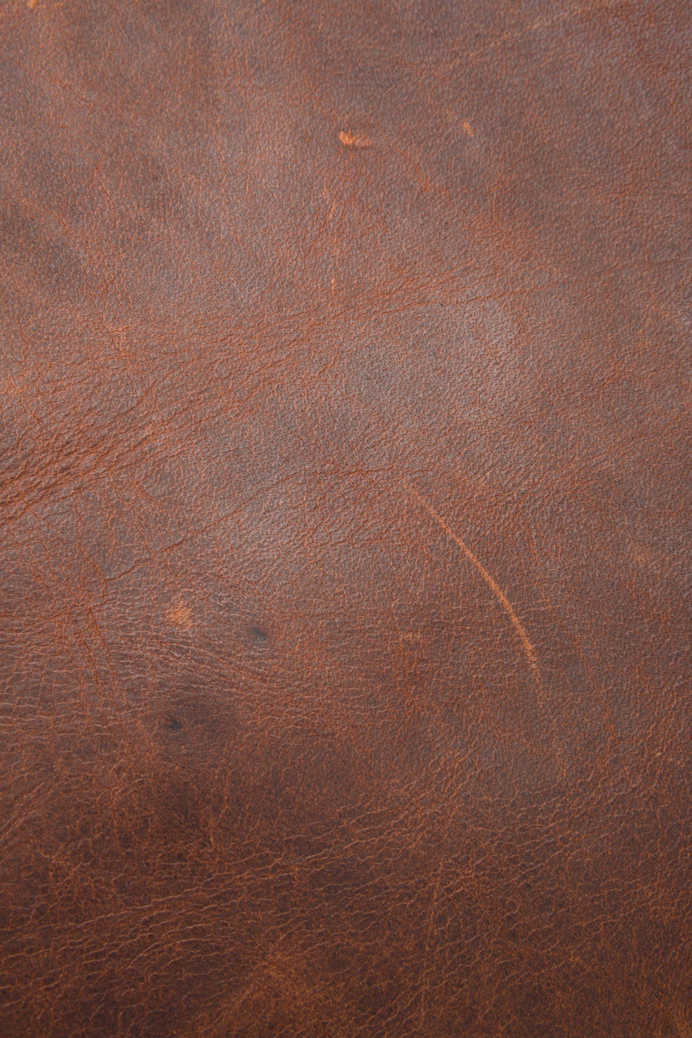 Logan Cognac Backpack Frye Sale