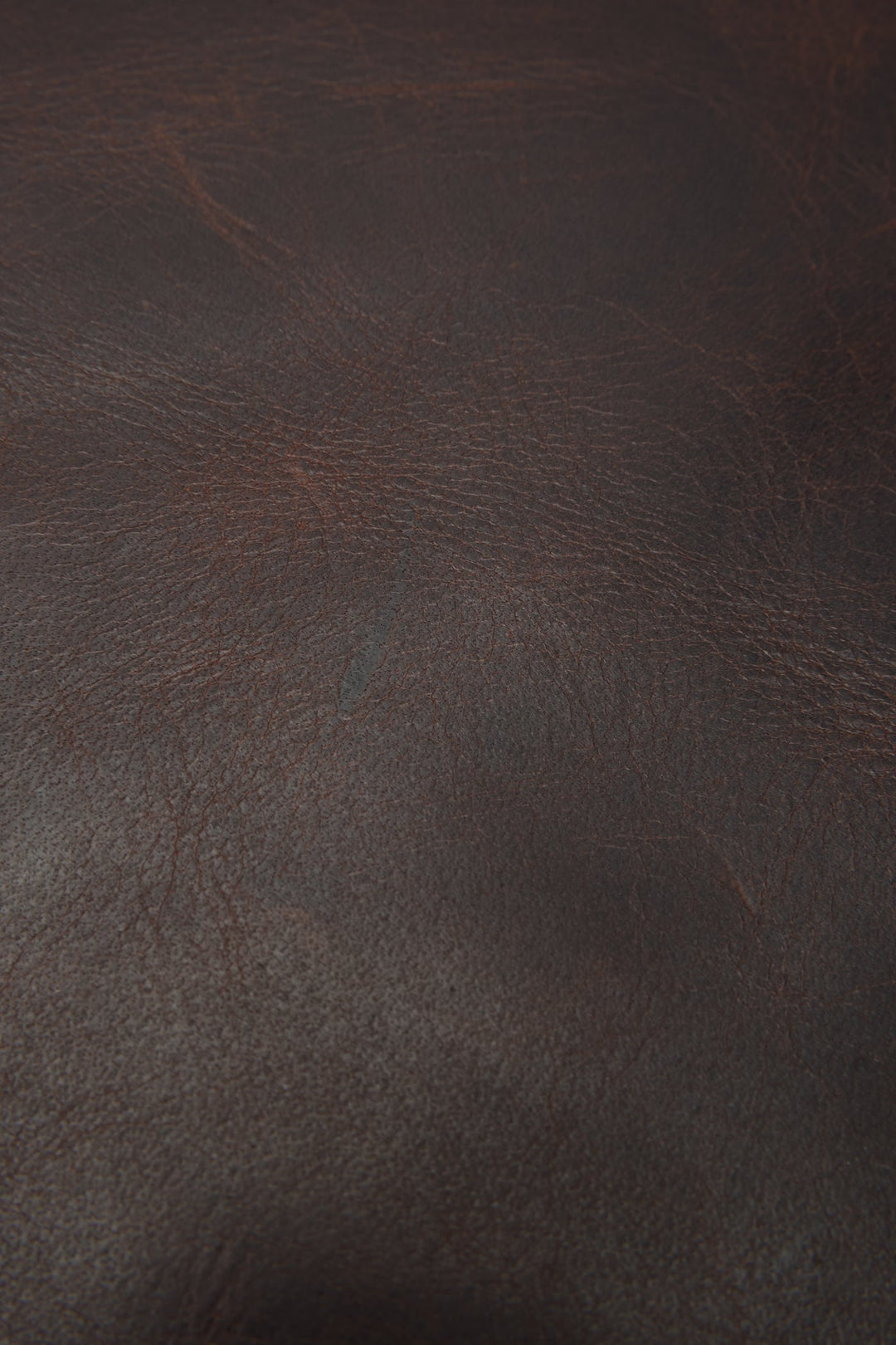 Logan Dark Brown Backpack Frye On sale
