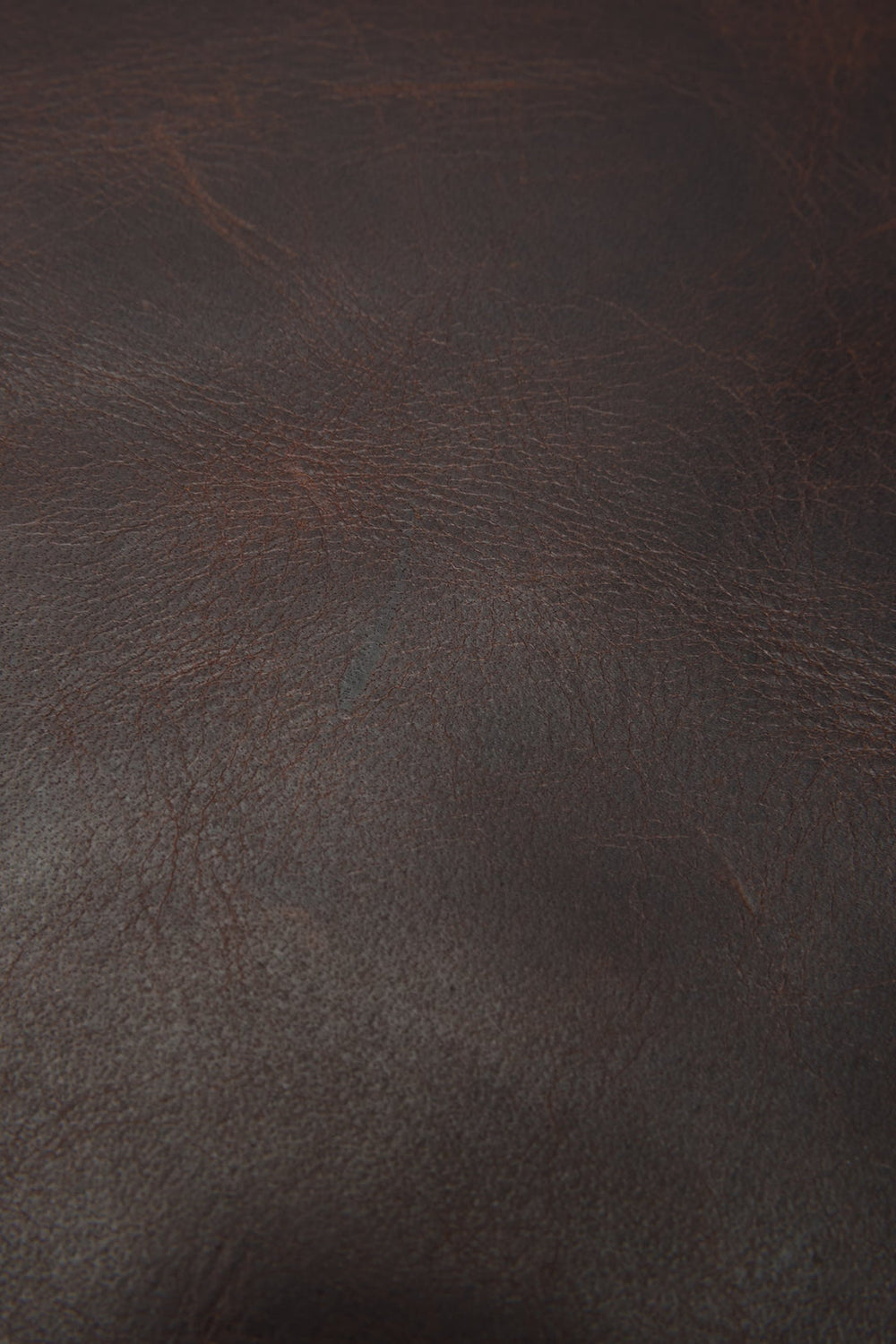 Logan Dark Brown Backpack Frye On sale