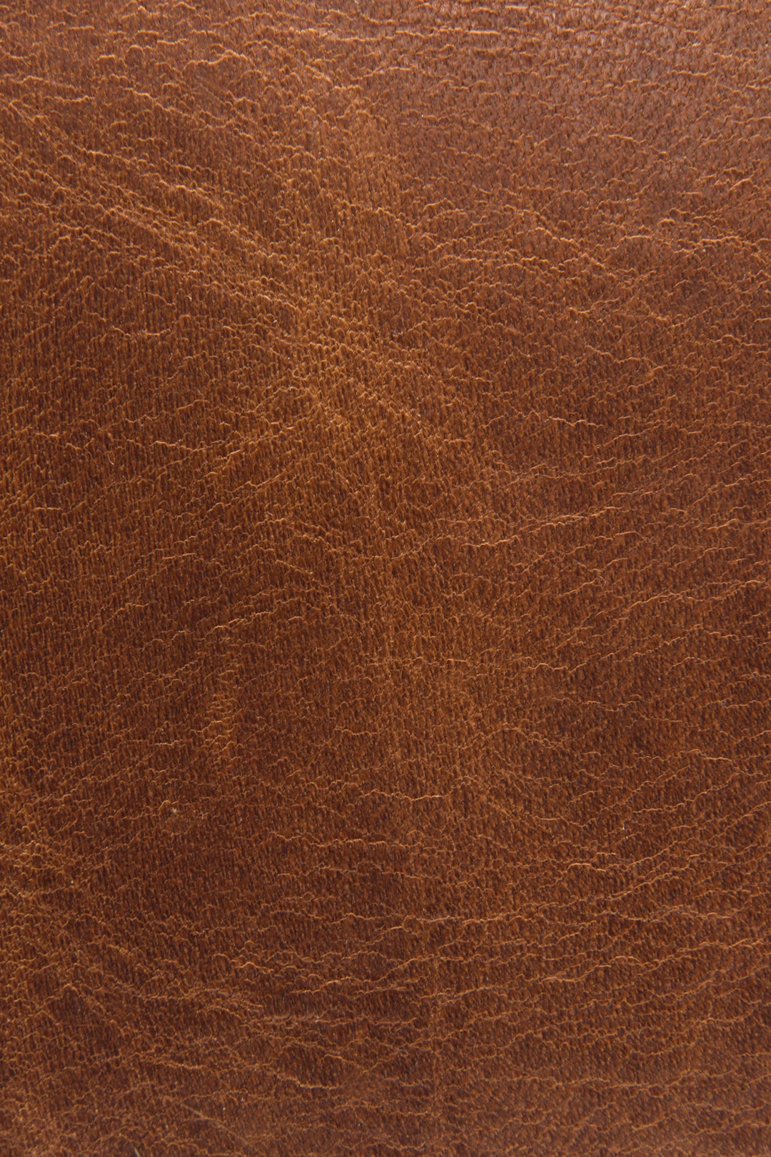 Logan Cognac Top Handle Frye us