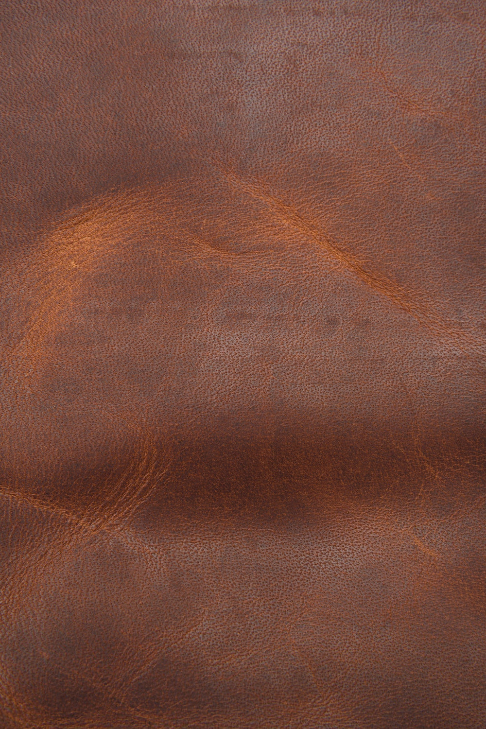 Logan Messenger Frye USA