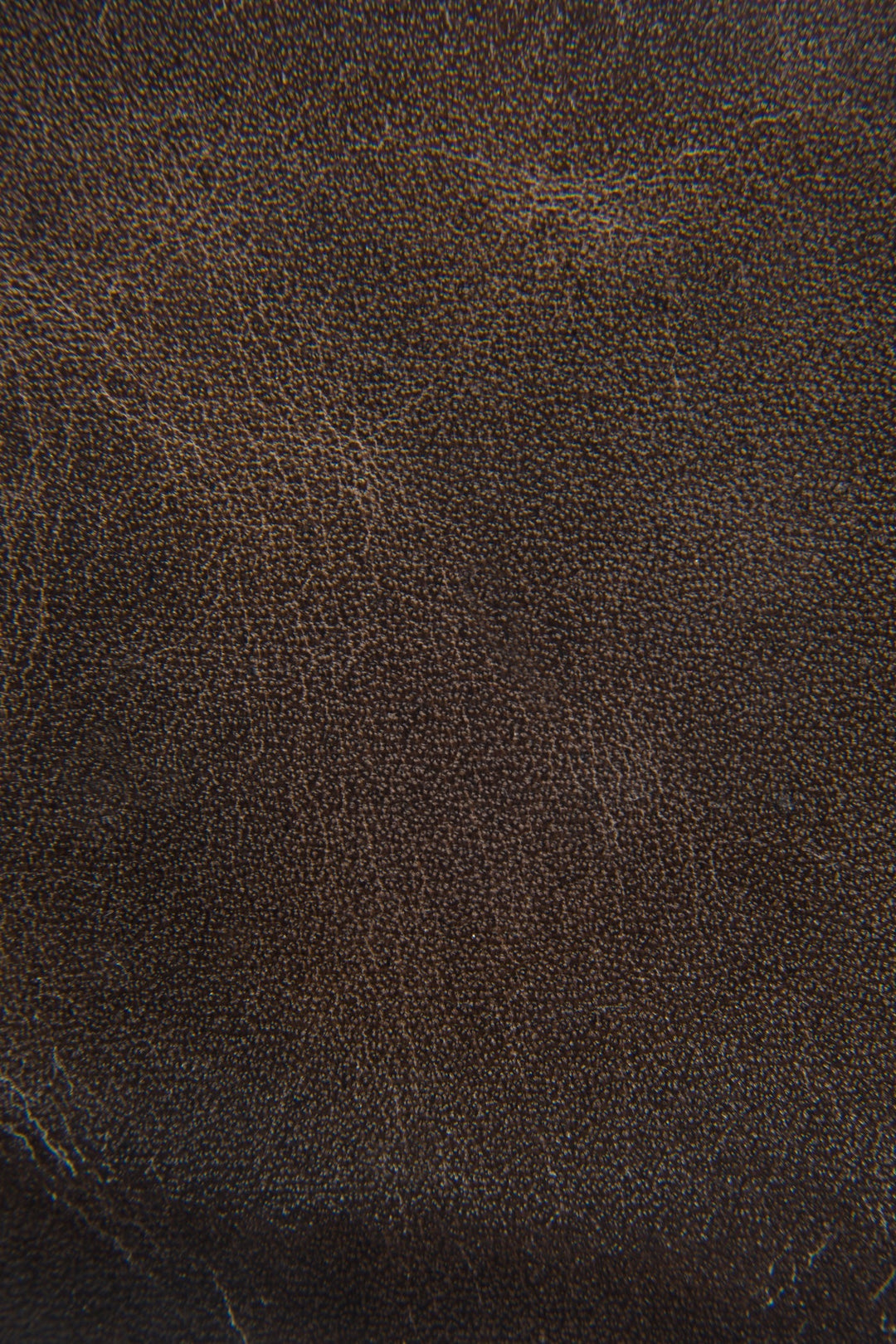 Logan Slate Billfold Frye