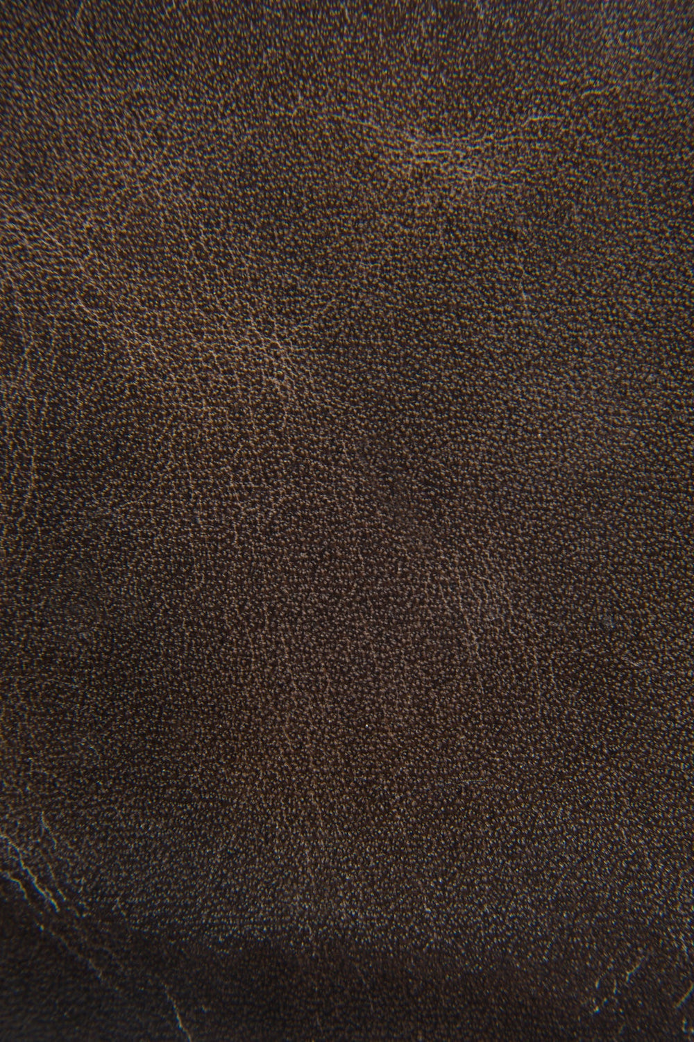 Logan Slate Billfold Frye